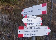 33 Verso la Madonnina del CAI di Alzano, sempre sul 531